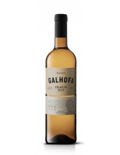 Vinilourenço Galhofa...