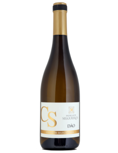 Morgado de Silgueiros CS...