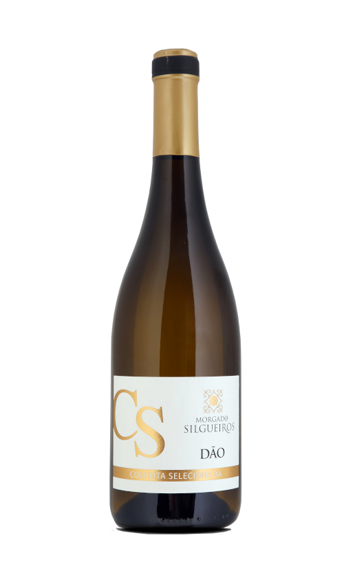 Morgado de Silgueiros CS Branco