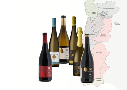 Nya lanseringar per 2025-12-02