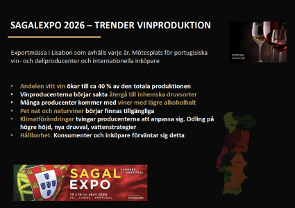 Trender i Portugisisk vinprodukktion